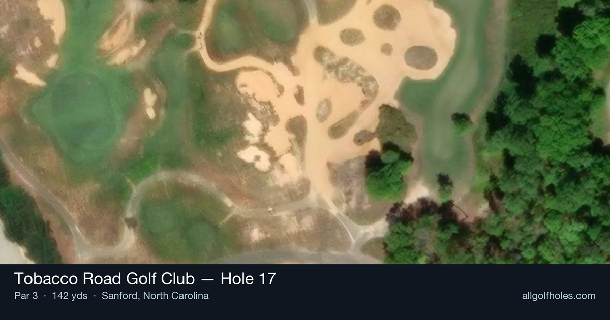 Hole 17 aerial at Tobacco Road Golf Club