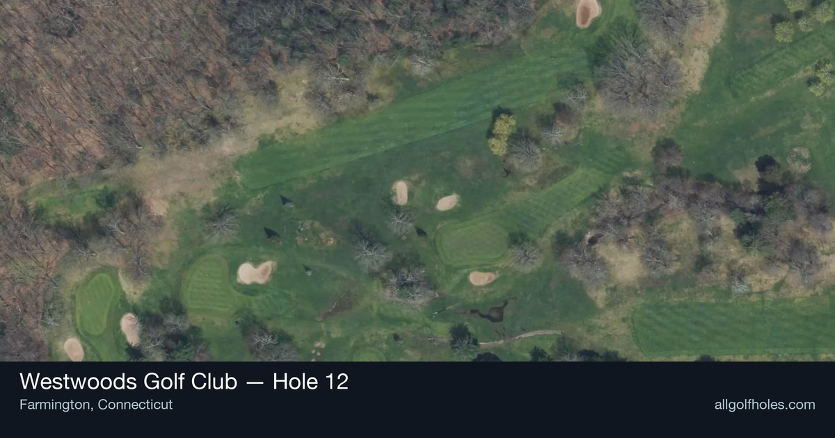Hole 12 aerial at Westwoods Golf Club