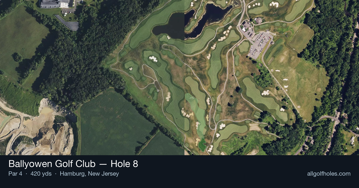 Hole 8 aerial at Ballyowen Golf Club