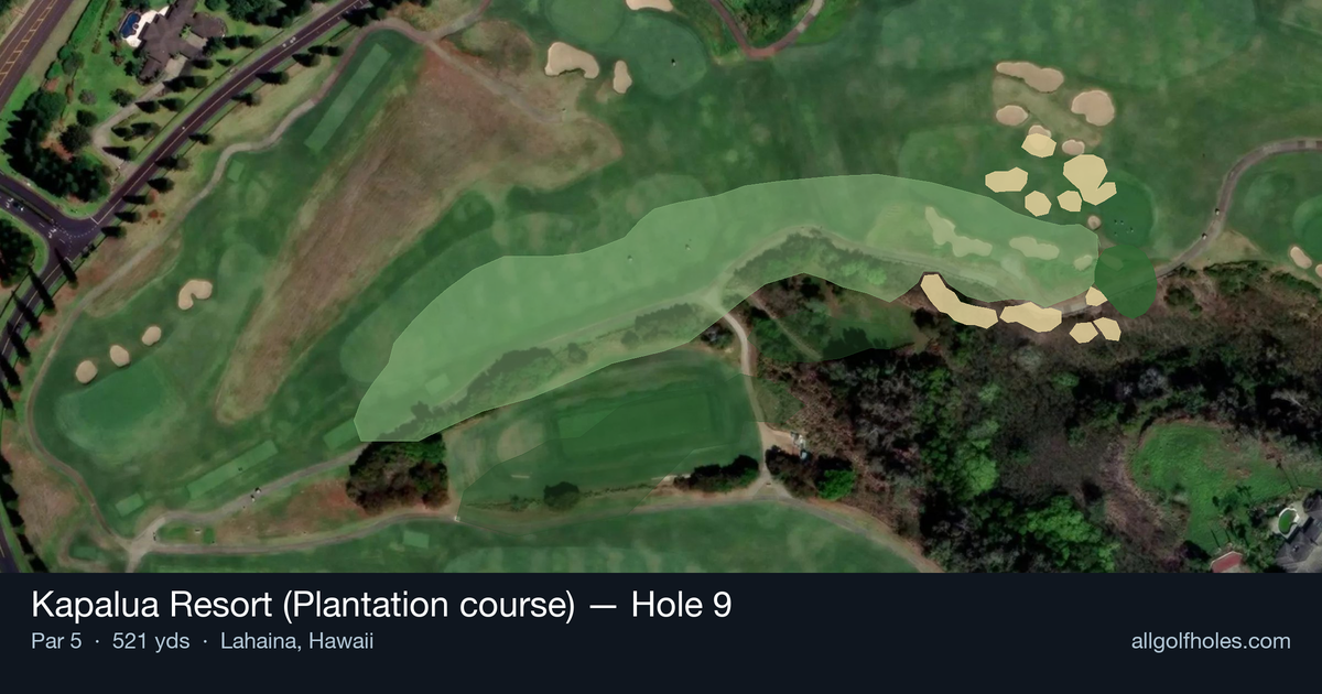 Hole 9 aerial at Kapalua Resort (Plantation course)
