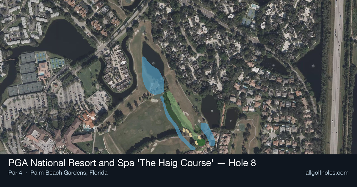Hole 8 aerial at PGA National Resort and Spa 'The Haig Course'