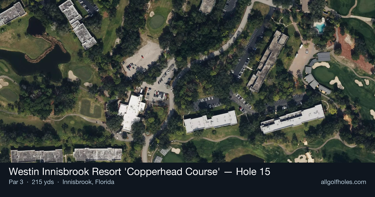 Hole 15 aerial at Westin Innisbrook Resort 'Copperhead Course'