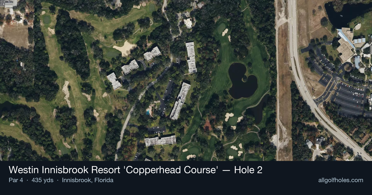Hole 2 aerial at Westin Innisbrook Resort 'Copperhead Course'
