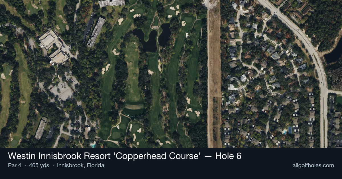 Hole 6 aerial at Westin Innisbrook Resort 'Copperhead Course'