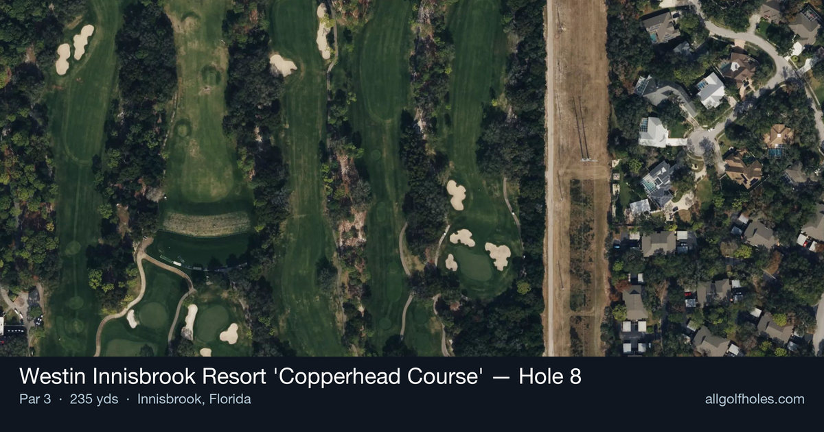 Hole 8 aerial at Westin Innisbrook Resort 'Copperhead Course'
