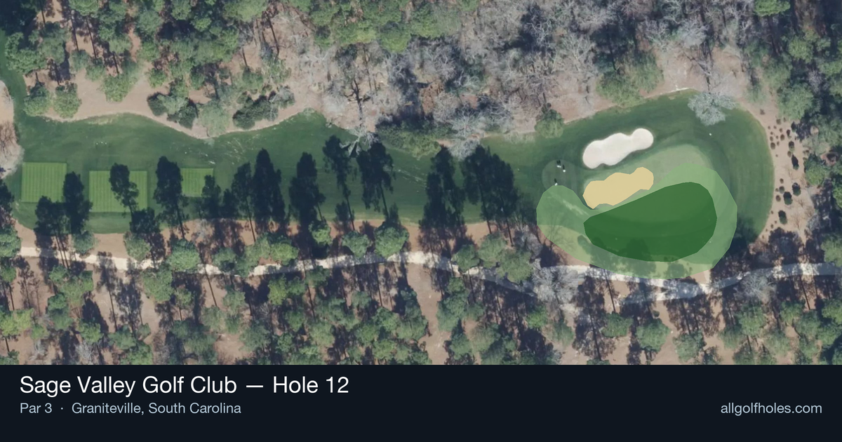 Hole 12 aerial at Sage Valley Golf Club