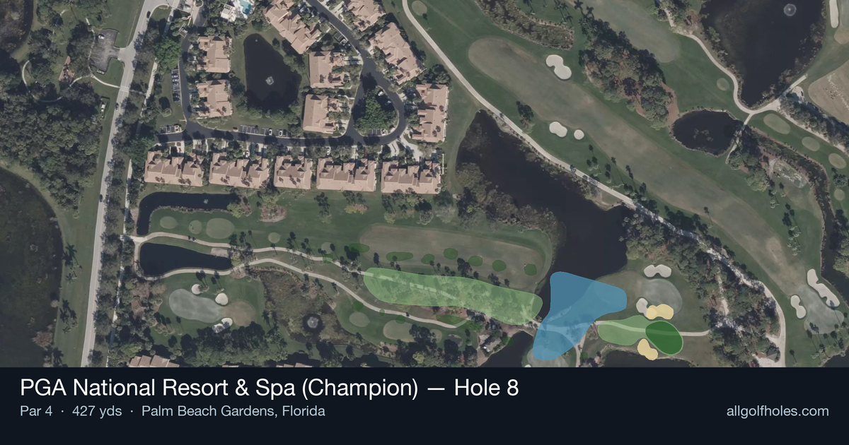 Hole 8 aerial at PGA National Resort & Spa (Champion)