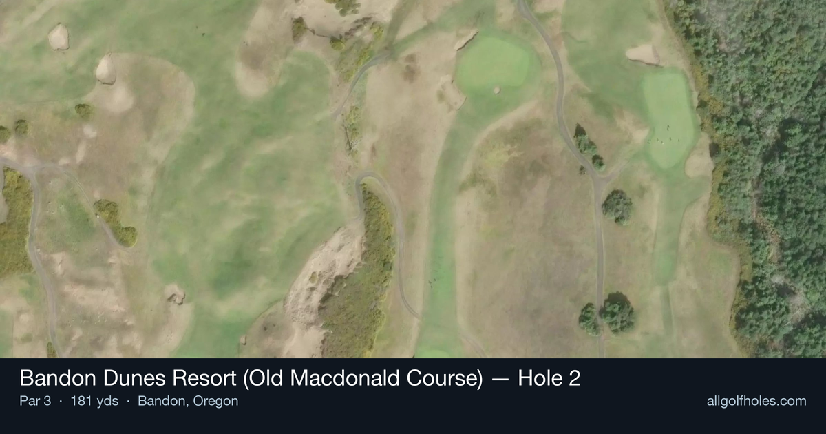 Hole 2 aerial at Bandon Dunes Resort (Old Macdonald Course)