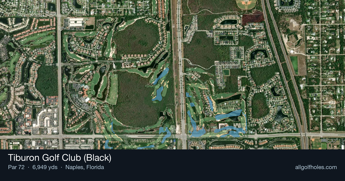 Tiburon Golf Club (Black) aerial view