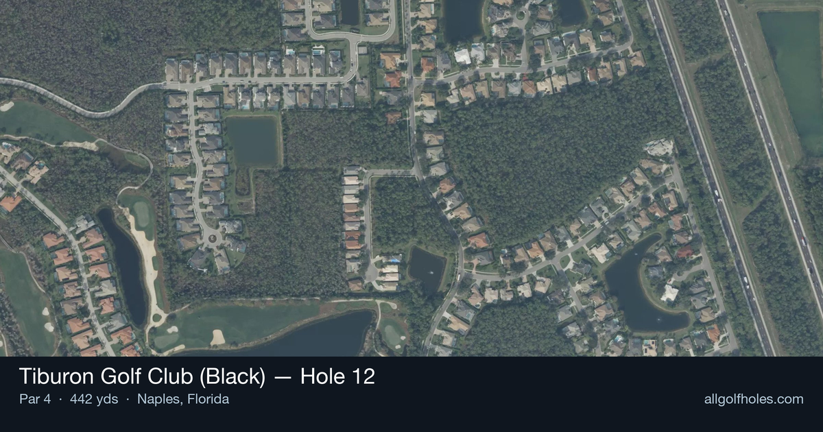 Hole 12 aerial at Tiburon Golf Club (Black)