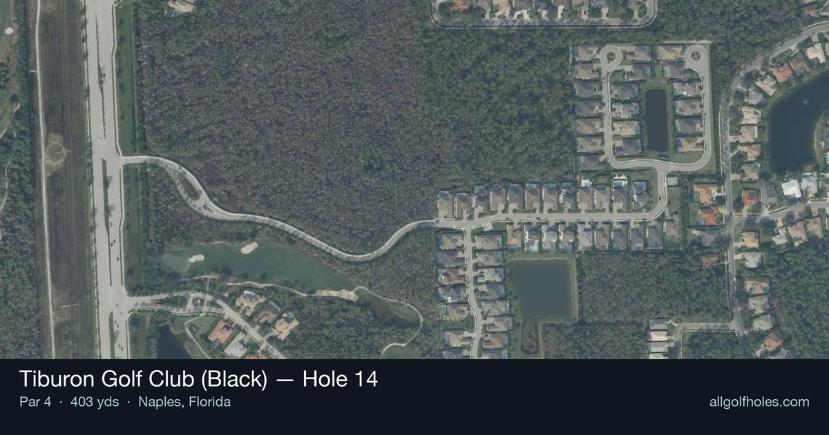 Hole 14 aerial at Tiburon Golf Club (Black)