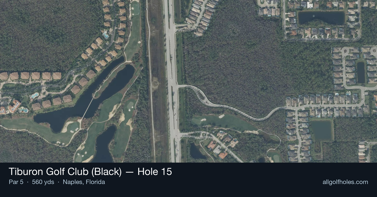 Hole 15 aerial at Tiburon Golf Club (Black)