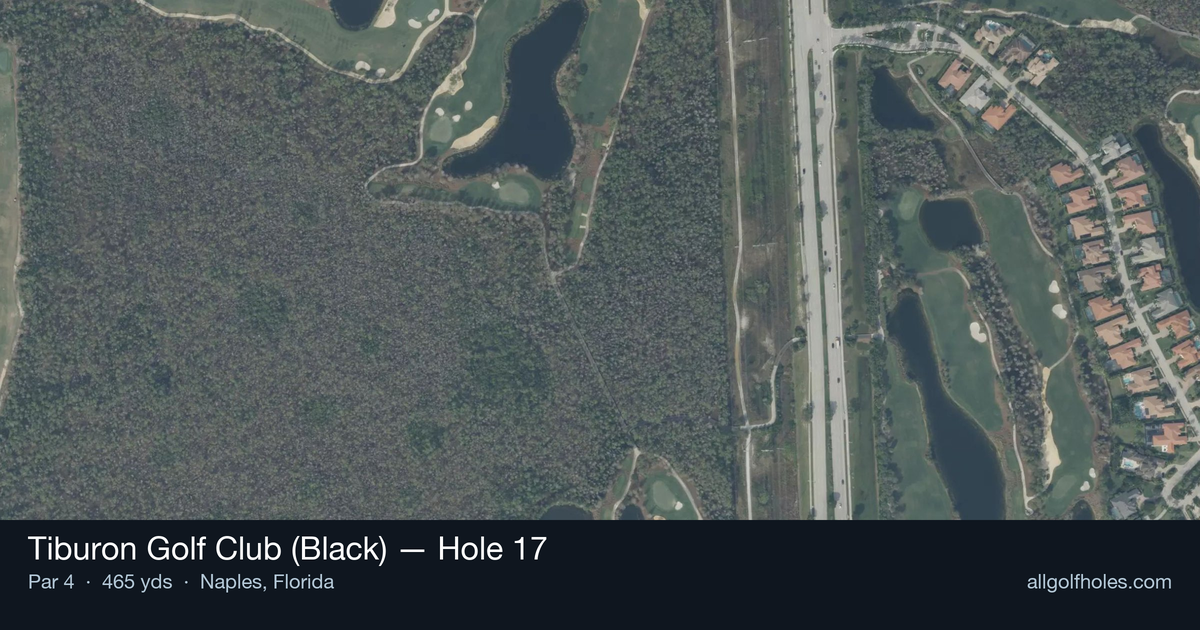 Hole 17 aerial at Tiburon Golf Club (Black)