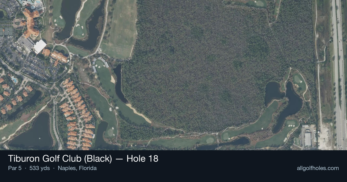 Hole 18 aerial at Tiburon Golf Club (Black)
