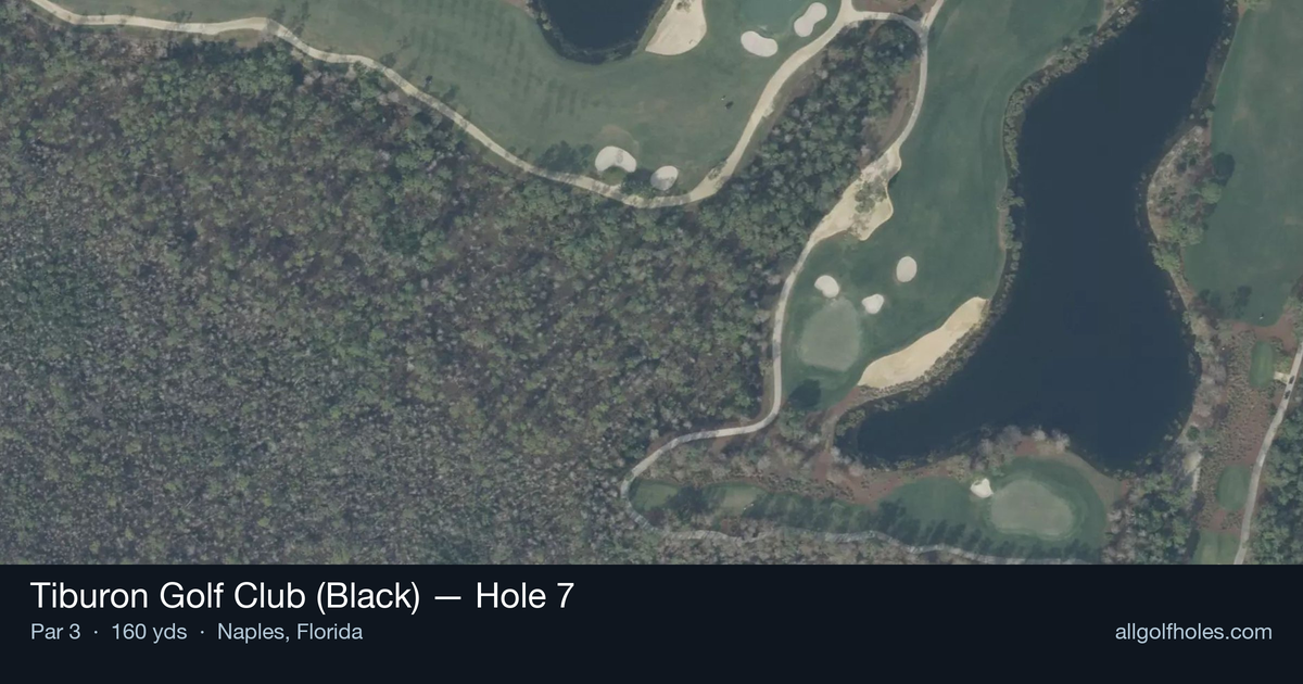 Hole 7 aerial at Tiburon Golf Club (Black)