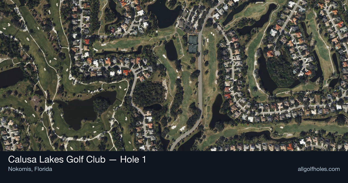 Hole 1 aerial at Calusa Lakes Golf Club