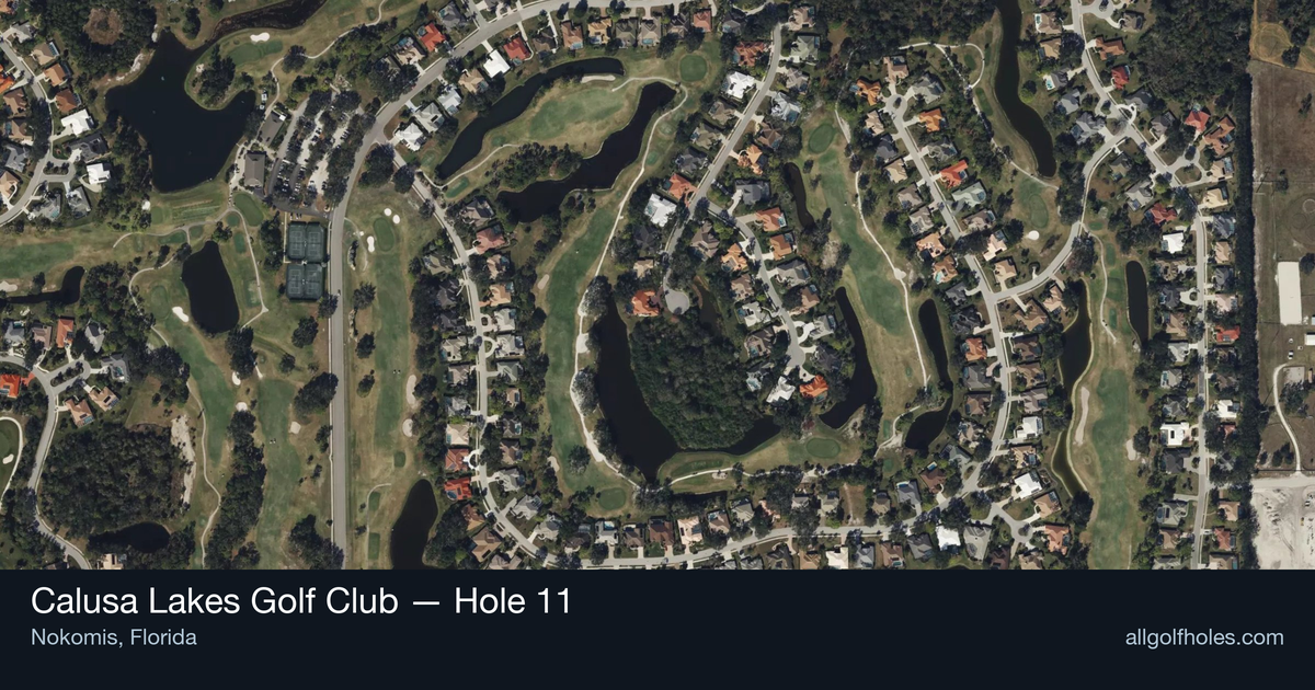 Hole 11 aerial at Calusa Lakes Golf Club