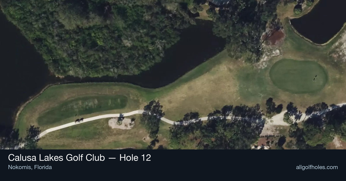 Hole 12 aerial at Calusa Lakes Golf Club