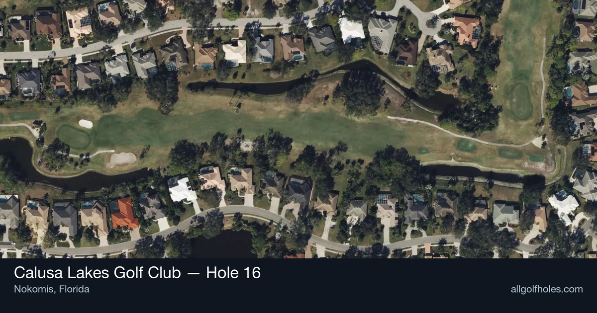Hole 16 aerial at Calusa Lakes Golf Club