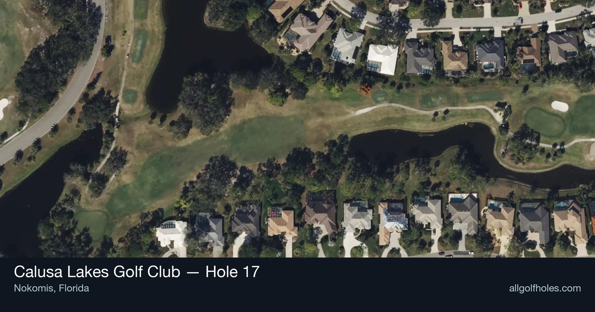Hole 17 aerial at Calusa Lakes Golf Club