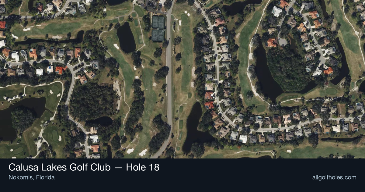 Hole 18 aerial at Calusa Lakes Golf Club