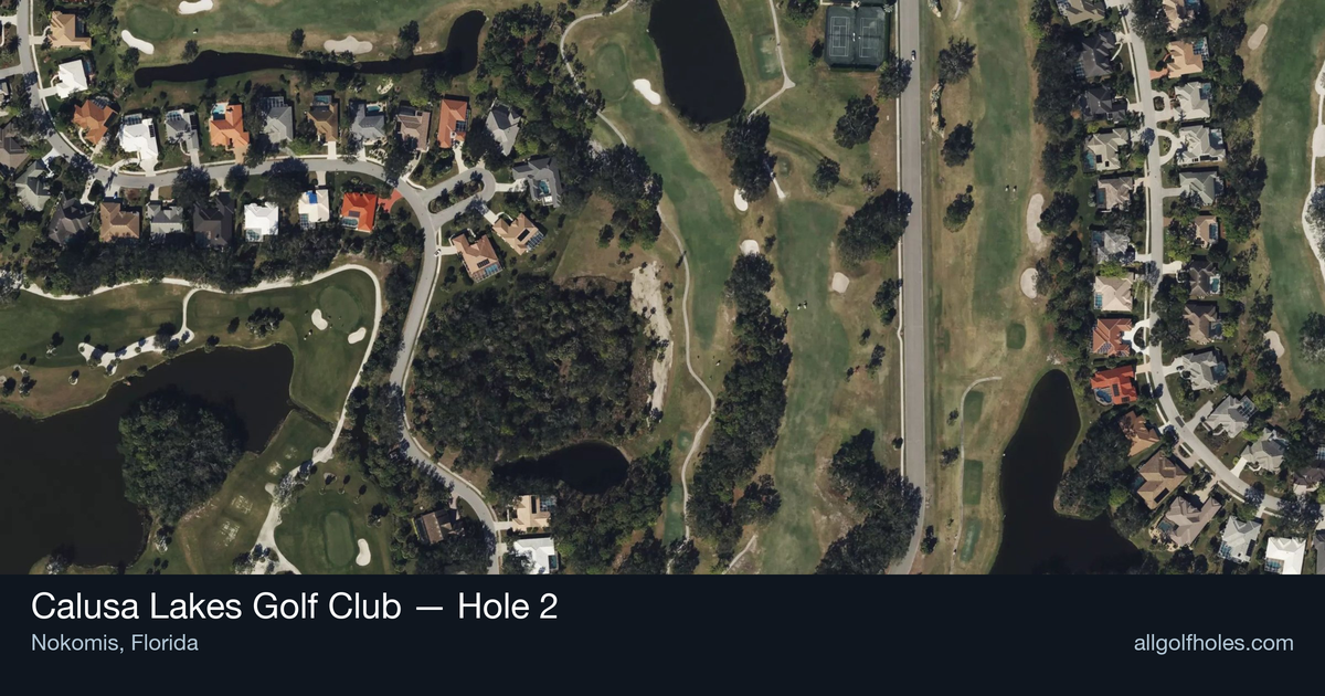 Hole 2 aerial at Calusa Lakes Golf Club