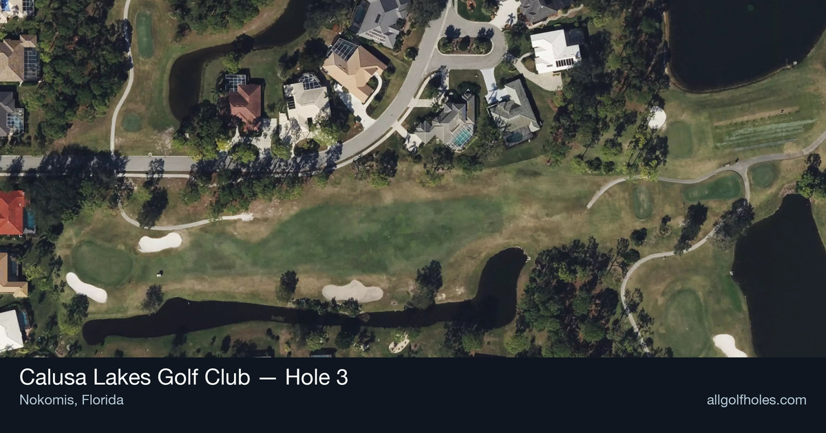 Hole 3 aerial at Calusa Lakes Golf Club