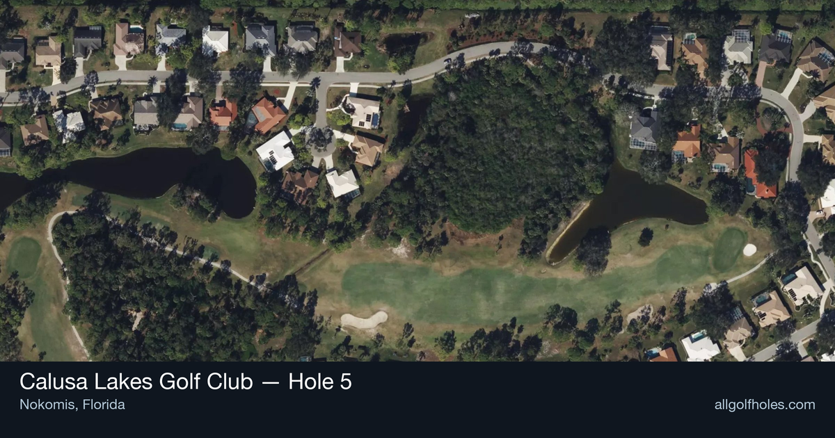 Hole 5 aerial at Calusa Lakes Golf Club