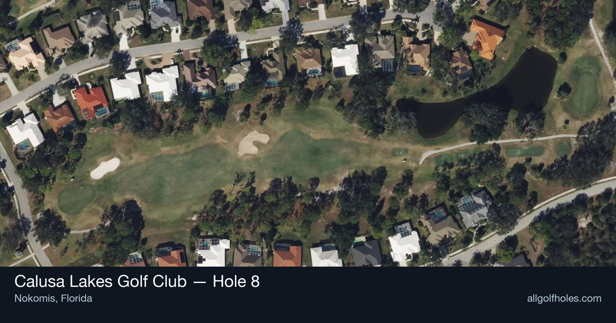 Hole 8 aerial at Calusa Lakes Golf Club
