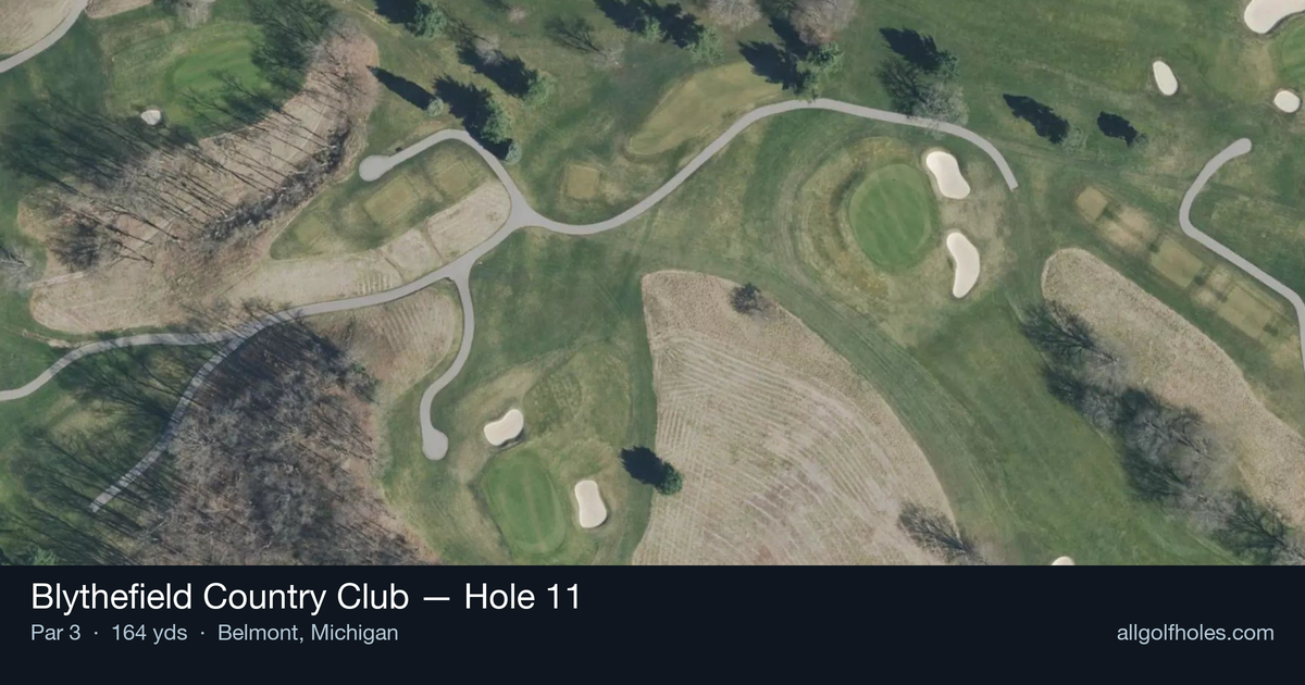 Hole 11 aerial at Blythefield Country Club