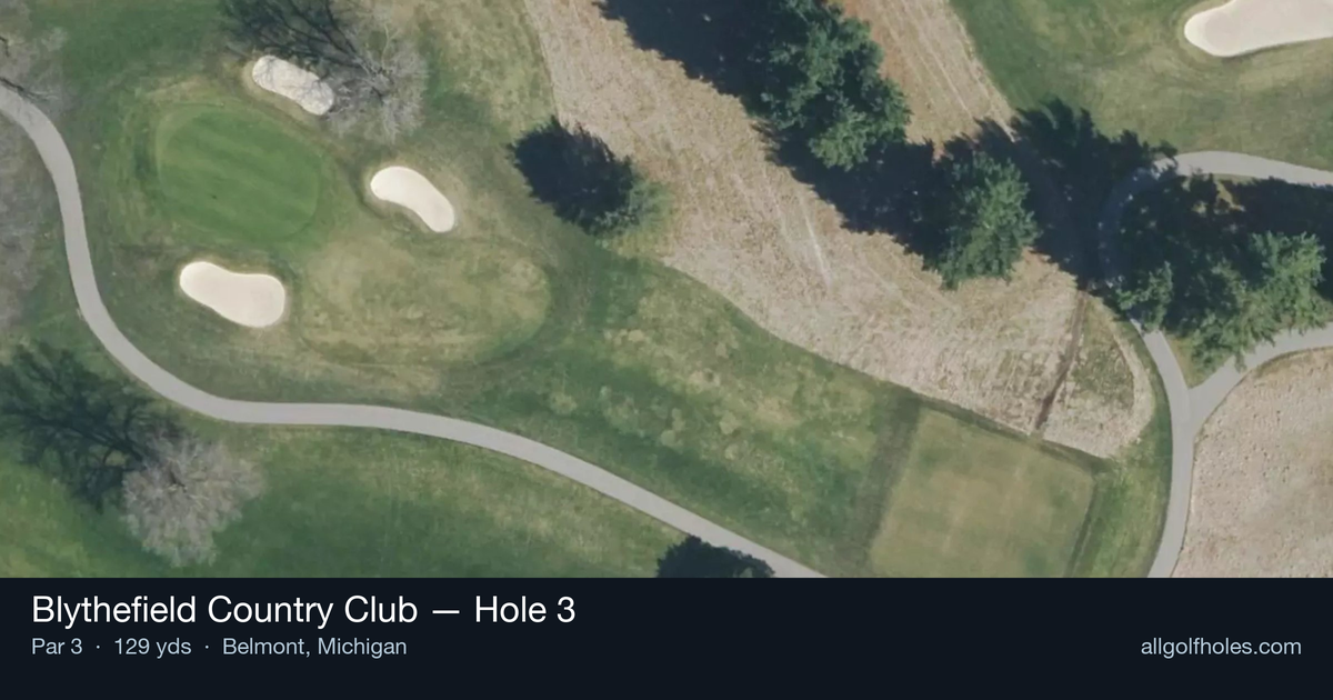 Hole 3 aerial at Blythefield Country Club