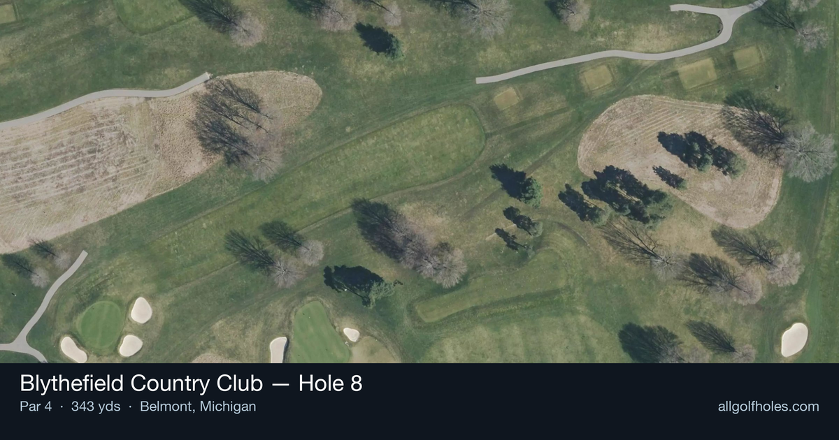 Hole 8 aerial at Blythefield Country Club