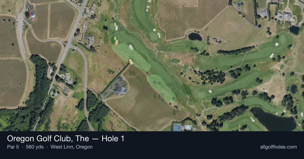 Hole 1 aerial at Oregon Golf Club, The