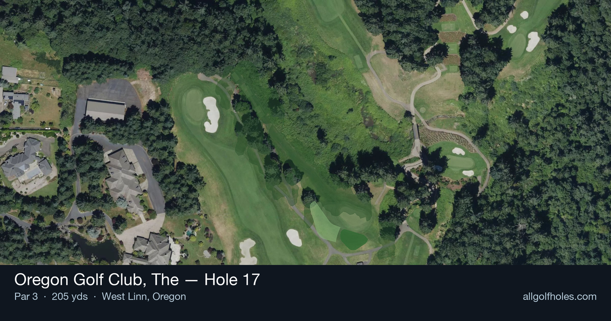 Hole 17 aerial at Oregon Golf Club, The