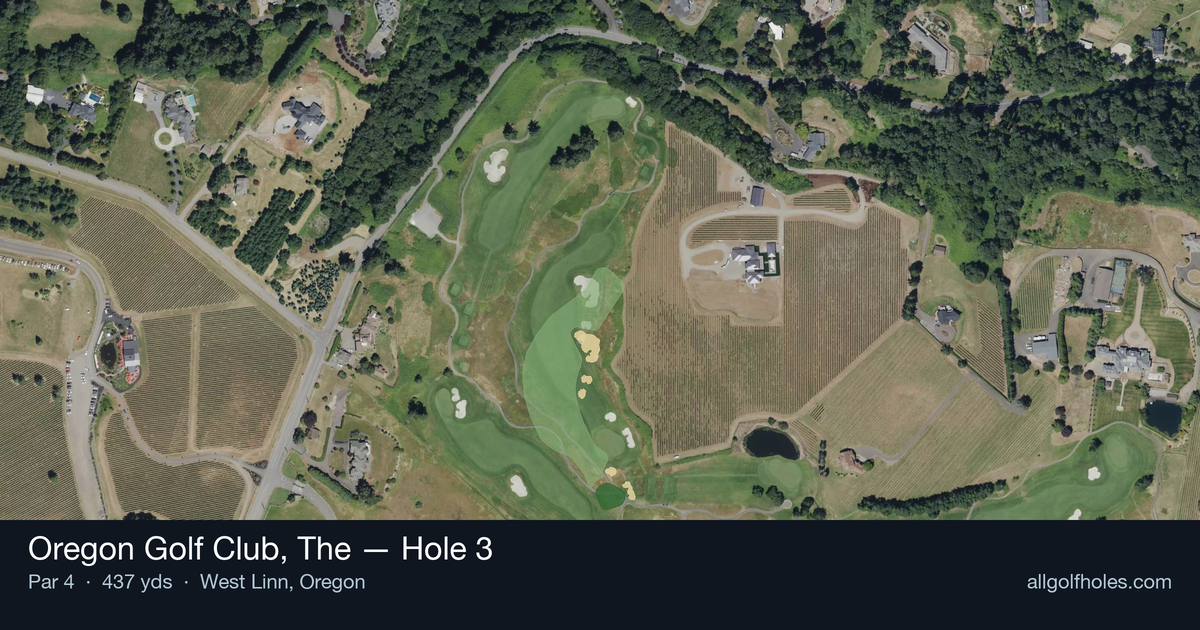 Hole 3 aerial at Oregon Golf Club, The