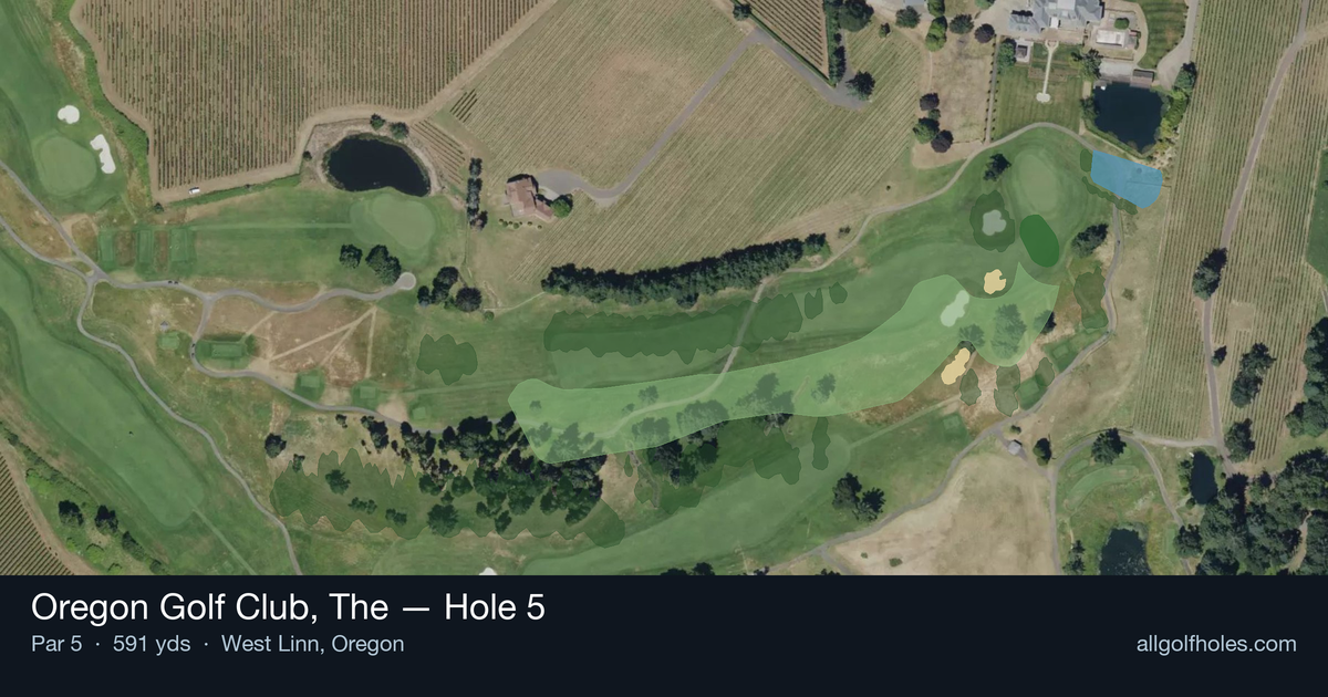 Hole 5 aerial at Oregon Golf Club, The