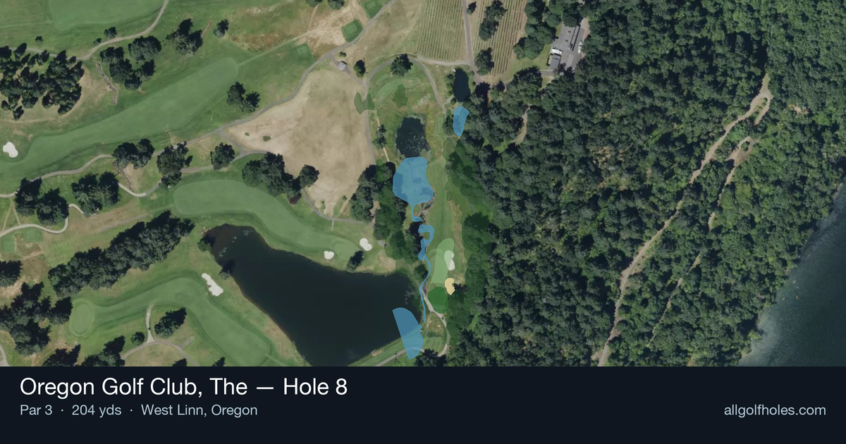 Hole 8 aerial at Oregon Golf Club, The