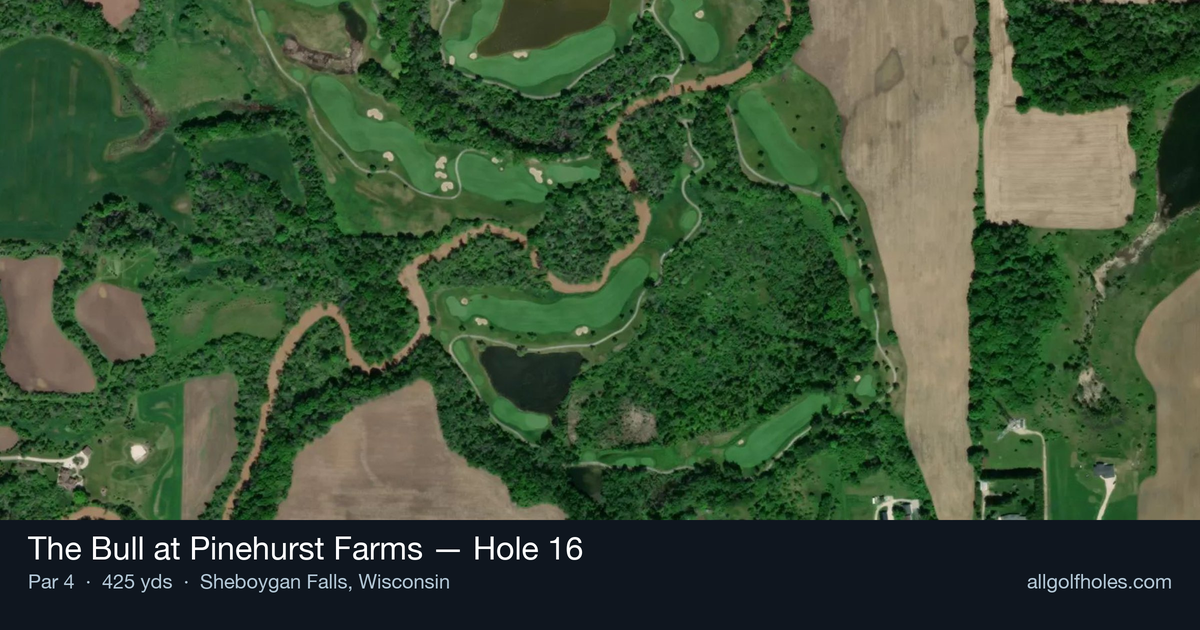 Hole 16 aerial at The Bull at Pinehurst Farms