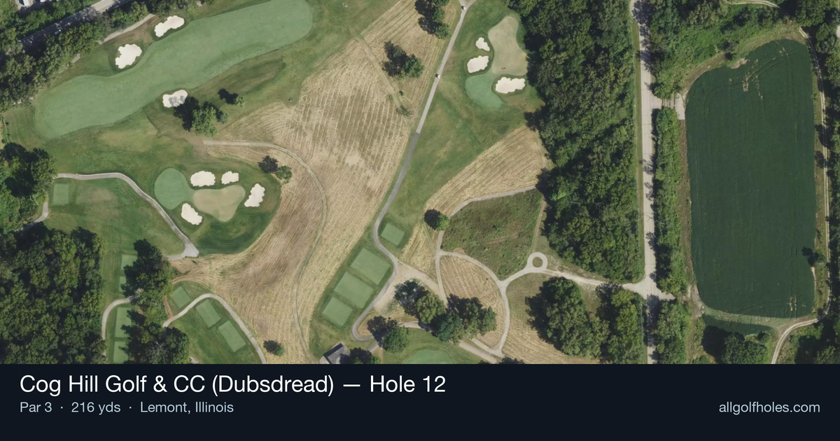 Hole 12 aerial at Cog Hill Golf & CC (Dubsdread)