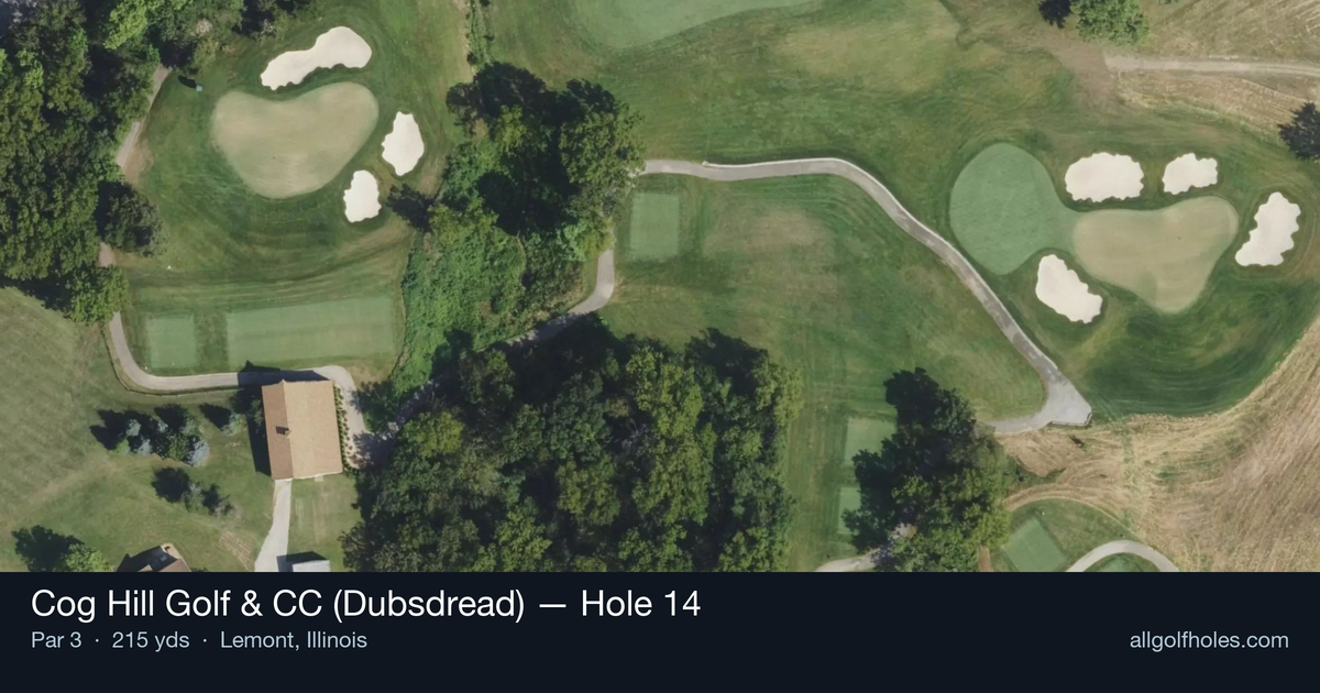 Hole 14 aerial at Cog Hill Golf & CC (Dubsdread)