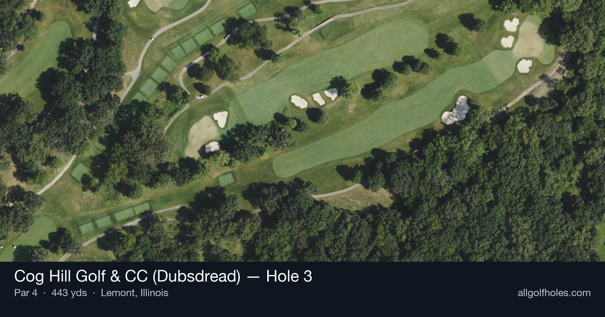 Hole 3 aerial at Cog Hill Golf & CC (Dubsdread)