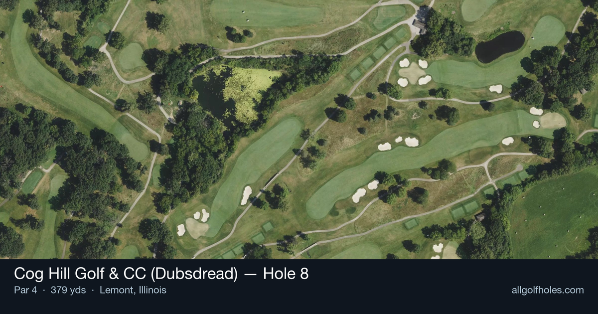 Hole 8 aerial at Cog Hill Golf & CC (Dubsdread)