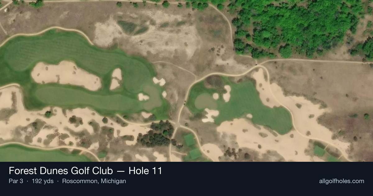 Hole 11 aerial at Forest Dunes Golf Club