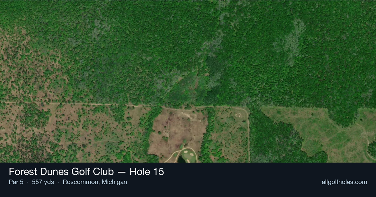 Hole 15 aerial at Forest Dunes Golf Club