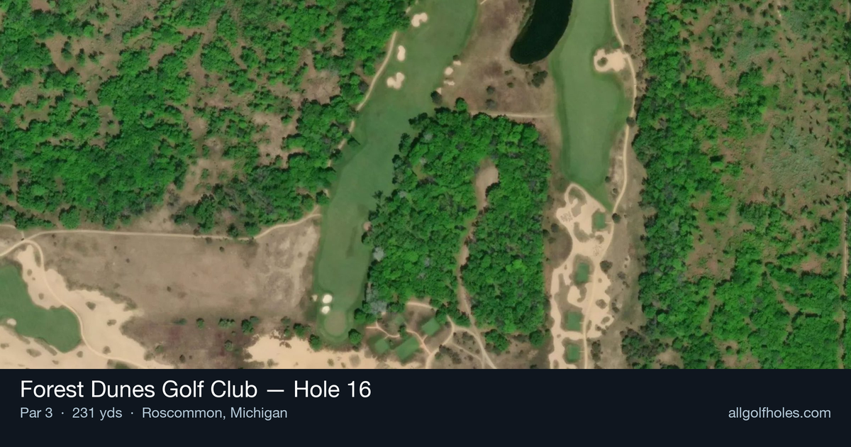 Hole 16 aerial at Forest Dunes Golf Club