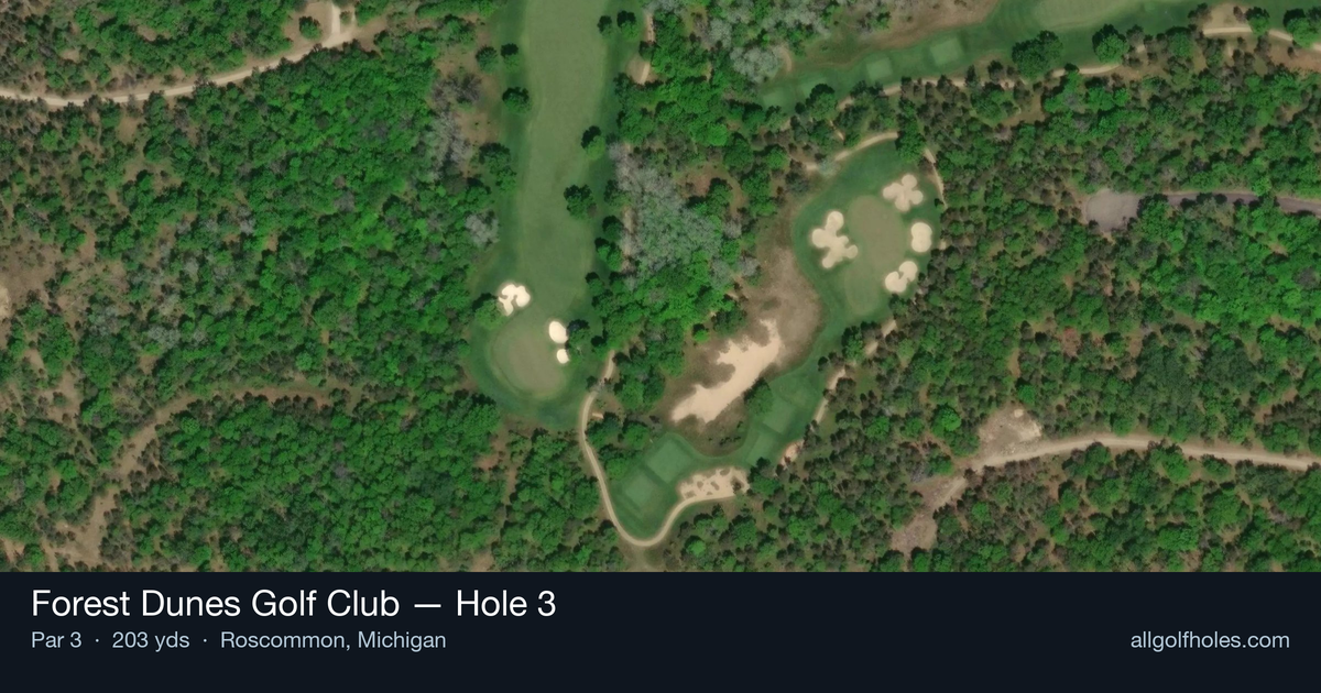 Hole 3 aerial at Forest Dunes Golf Club