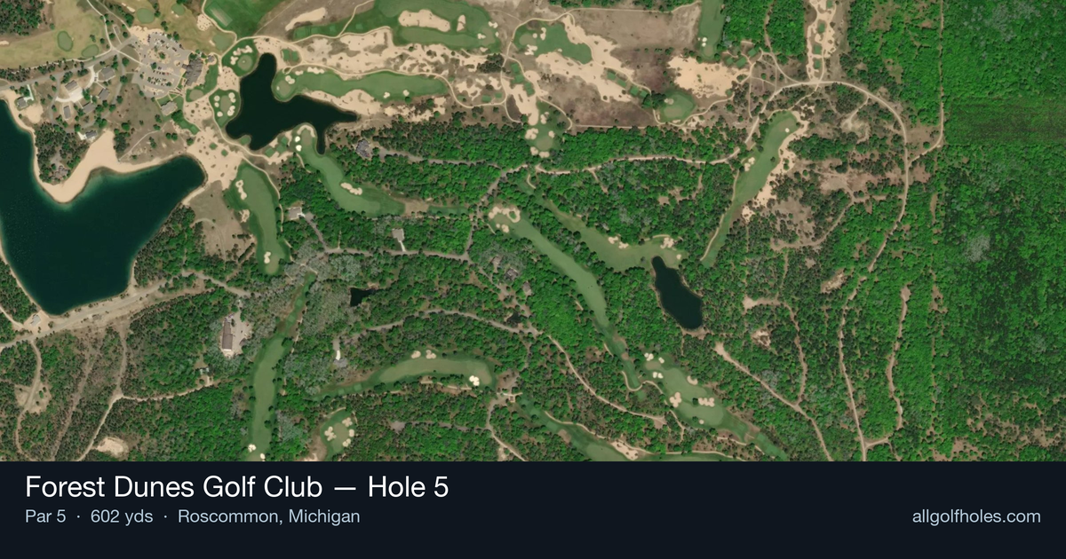 Hole 5 aerial at Forest Dunes Golf Club