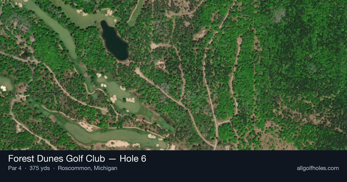 Hole 6 aerial at Forest Dunes Golf Club