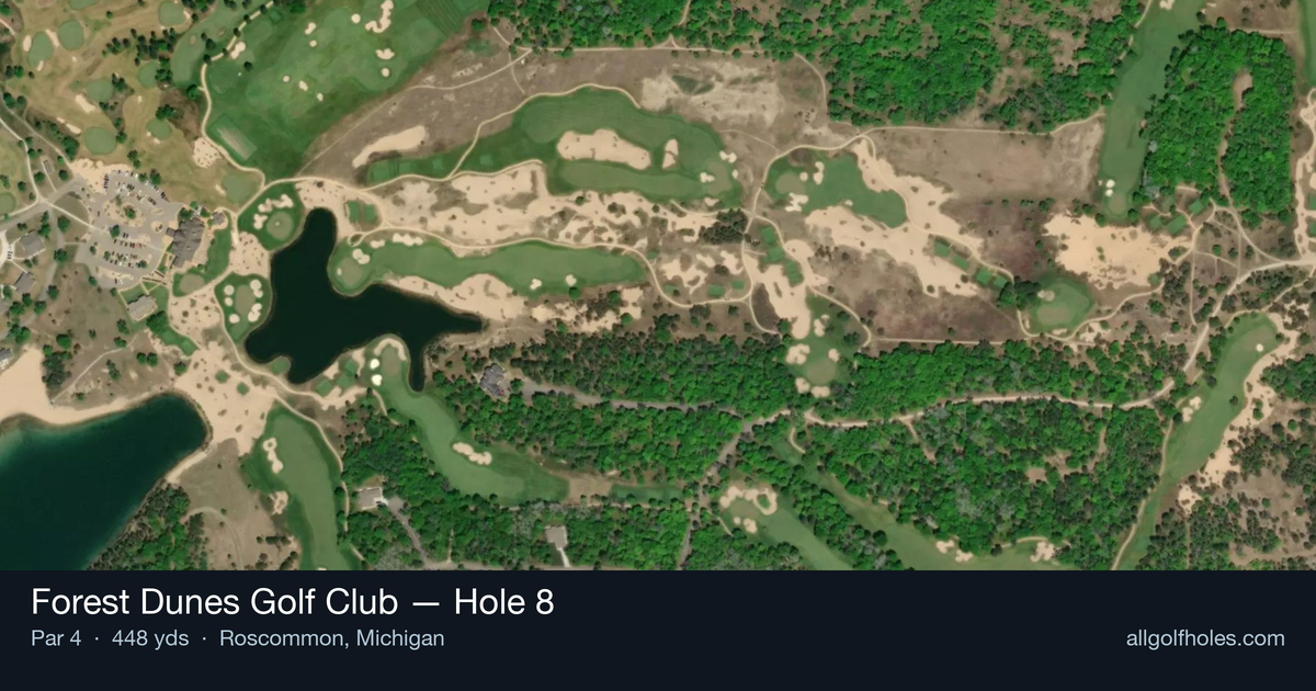 Hole 8 aerial at Forest Dunes Golf Club